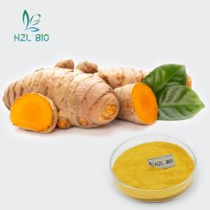 Wholesale cooling agent for skin: Organic Curcumin Extract