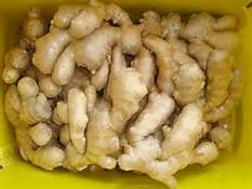 Wholesale supplies for ship: Fresh Organic Ginger for Sale.