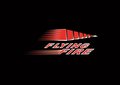 Flying Enterprise (China) Co., Ltd Company Logo