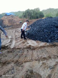Wholesale coal trading company: Coal for All Type and All Quantity Accept