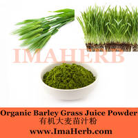 Super Food 100% Pure Barley Grass Powder