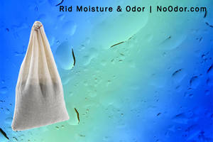 Wholesale home dehumidifier: MOISTURESORB Reusable Moisture & Odor Removal Desiccant Pouch: Treats 150 Sq. Ft.