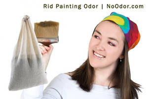 Wholesale paint odours: SMELLEZE Reusable Paint Smell Removal Deodorizer Pouch