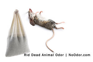 Wholesale large working area: SMELLEZE Reusable Dead Animal Smell Removal Deodorizer Pouch