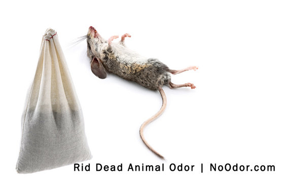 Smelleze Reusable Dead Animal Smell Removal Deodorizer Pouch Id Smelleze Reusable Dead Animal Smell Removal Deodorizer Pouch Image