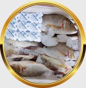 Wholesale seafood: Fresh Emperor Fish