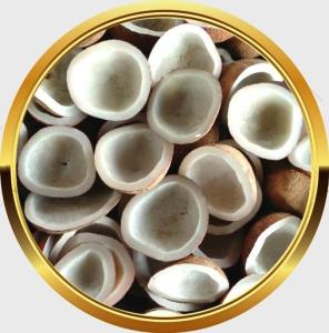 Wholesale kernel shell: White Copra