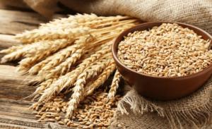 Wholesale t: Wheat
