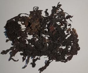Wholesale Dried Food: Seaweed Sargassum Rich in Plant Growth Regulators (PGRs)