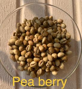 Wholesale Coffee Beans: Bean