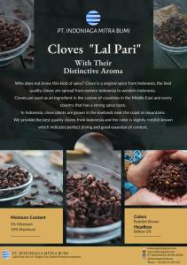 Wholesale cloves: Cloves