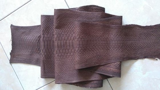 Genuine Python Snake Skin Hide(id:10332519). Buy Indonesia python, hide ...