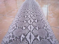 Borneo Curtus Python Direct Factory