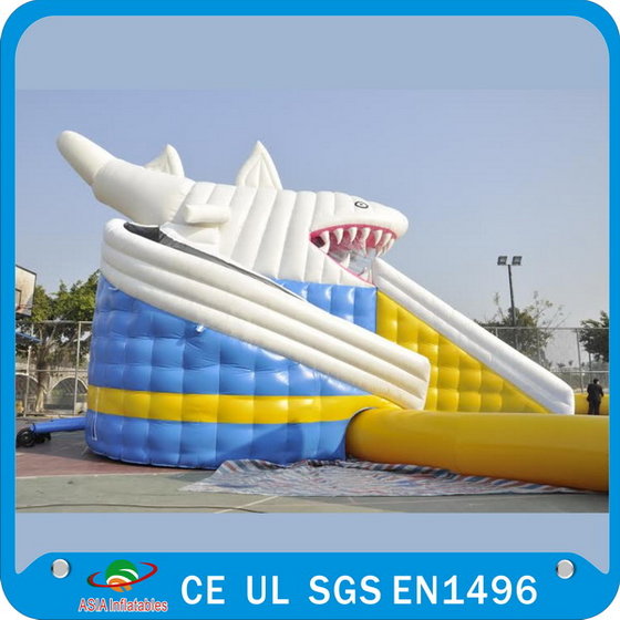 huge inflatable float