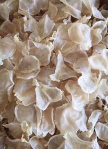 Wholesale Other Fish & Seafood: Dried Fish Maw