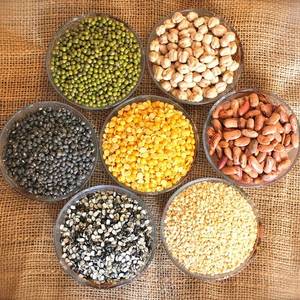 Wholesale red lentil: Red, Green and Yellow Lentils