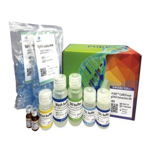 Wholesale store supply: PURE Cell&Tissue DNA Extraction Kit