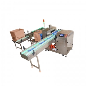 carton packing machine