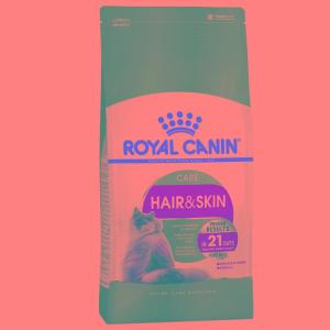Wholesale Pet & Products: Royal Canin 500G High Protein Best Wholesale Bulk Dry Cat Kitten Food.