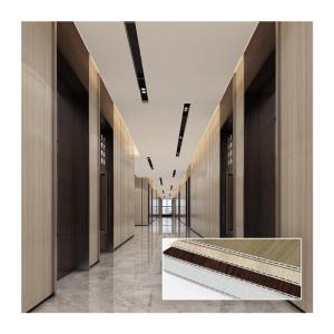 Wholesale one a9: Interior Decorative Wood Plastic Composite Water Proof Fire Test Report Wpc Spc Hotel Wall Panel