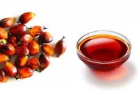 Sell Organic Red Palm Oil