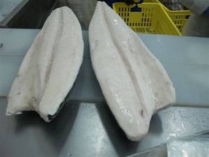 Wholesale seafood: Oilfish