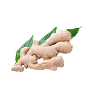 Wholesale fresh ginger: Fresh Ginger Suppliers