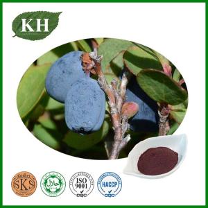 Wholesale Plant Extract: Bilberry Extract Anthocyanidins Vaccinium Myrtillus Extract