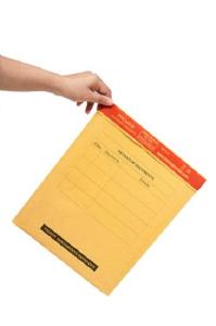 Wholesale document: Premier Kraft Paper Bubble Mailers/Padded Envelopes for Courier (25's Pack)