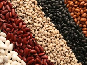 Wholesale soybeans: Beans