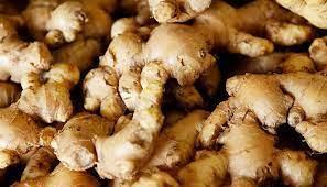 Wholesale ginger: Ginger
