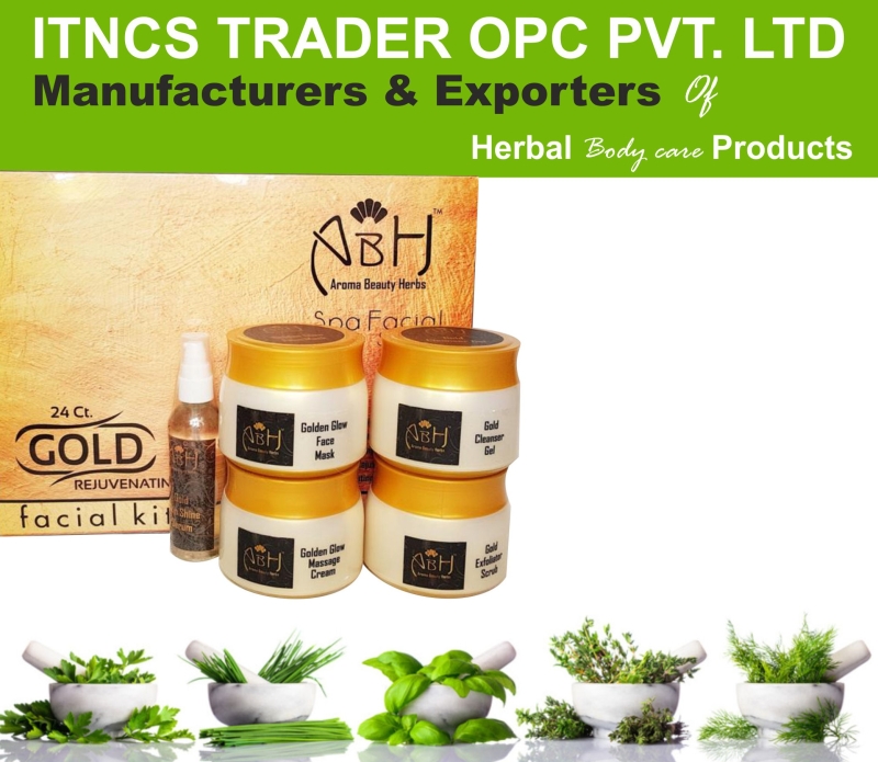 Itncs Traders Opc Pvt.Ltd Company Logo