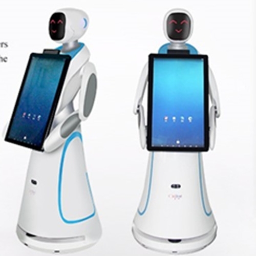humanoid service robot