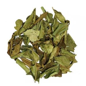 Wholesale price: Dried Lemon Leaf/Wholesale Vietnam Dried Lime Leaf Best Price/Ms Ivy Nguyen +84 977157110