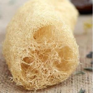 Wholesale Hotel Amenities: DRIED LOOFAH FROM VIETNAM with HIGH QUALITY for CLEANING // Ms.Ivy Nguyen