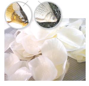 Wholesale total nitrogen: SUPPLY DRIED FISH SCALES / DRIED TILAPIA FISH SCALES for COLLAGEN From VIETNAM // Ms.IvyNguyen