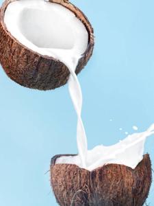 Wholesale confectionery: Coconut Cream / Coconut Milk