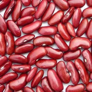Wholesale kidney beans: Red Kidney Bean