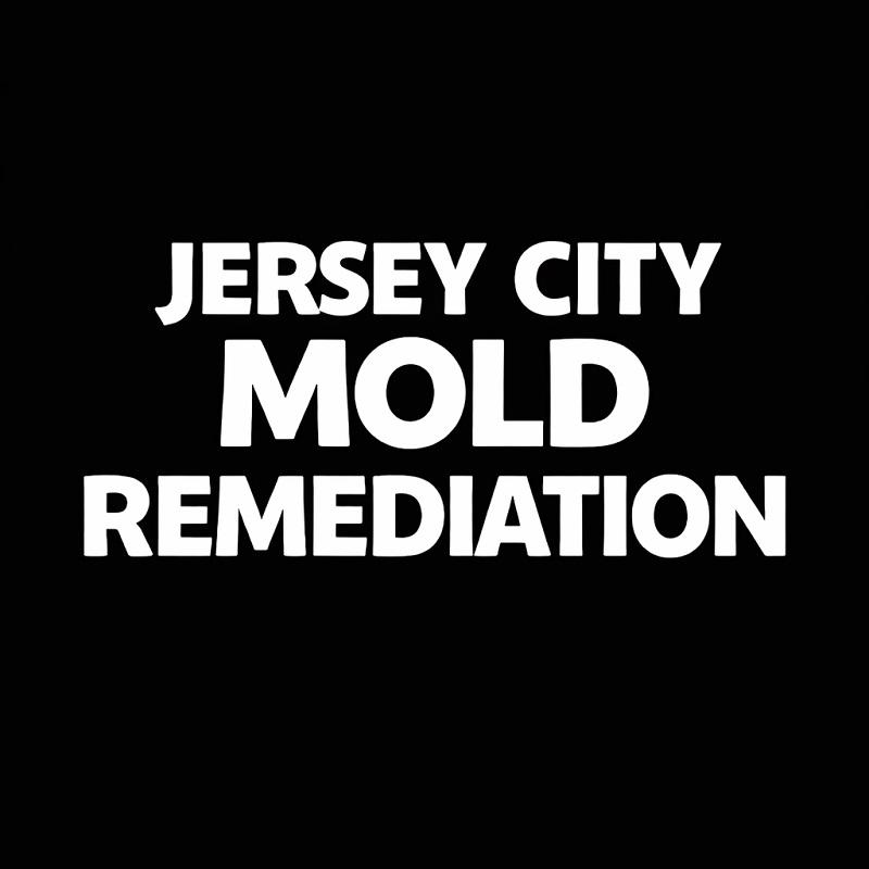 Jersey City Mold Remediation