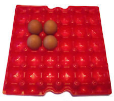 Table Eggs