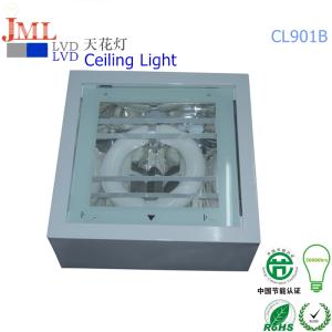 Wholesale solar glass house: Outdoor Ceiling Light 40w 80w 100w Outdoor Lights for Porch Park Yard 5years Warranty Spot Light