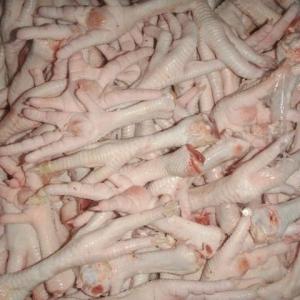 Wholesale chicken drumsticks: Brazilian Quality Halal Frozen Whole Chicken and Parts / Feet / Paws / Drumsticks