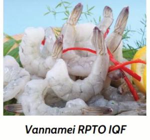 Wholesale prawns: Vannamei RPTO IQF