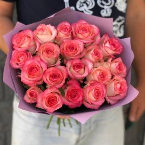 Wholesale supplies: Natural Rose Flower