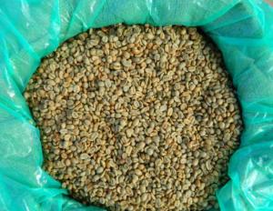 Wholesale Coffee Beans: Raw and Roasted Indonesia and Brazilian Green Coffee Beans
