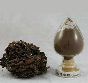 Wholesale maitake mushroom extract: Organic Grifola Frondosa Extract,Organic Maitake Mushroom Extract