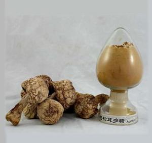 Wholesale dry shiitake mushroom: Organic Agaricus Blazei Mushroom Extract