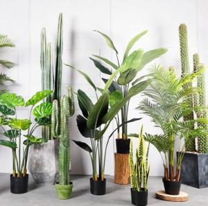 Wholesale plastic plant pot: Artificial Plants and Flowers