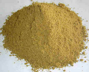 Wholesale steam: Fish Meal