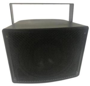 IP66 Professional Indoor/Outdoor Speaker